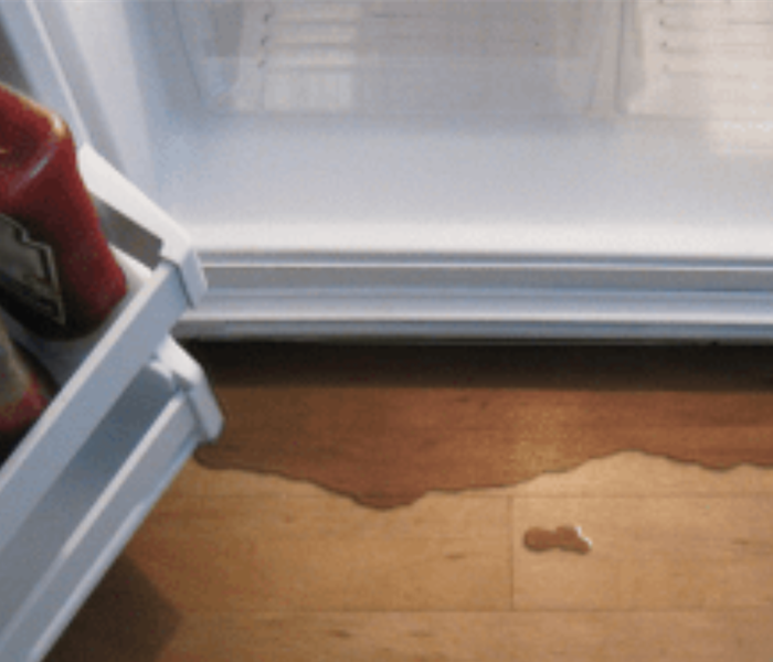 leaking fridge